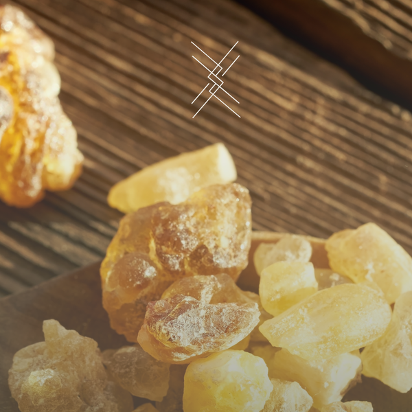 Close-up of frankincense pieces on a wooden surface