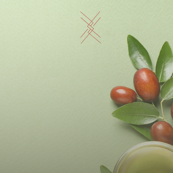Illustration of jojoba and jojoba oil on a green background